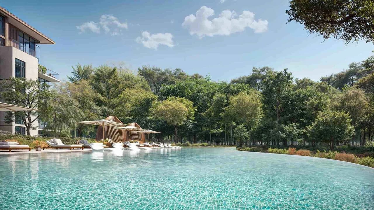 Ghaf Woods – image 5