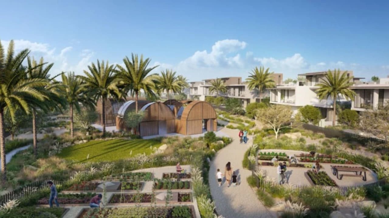 The Valley – image 3